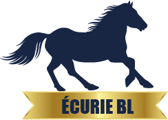 écurie BL